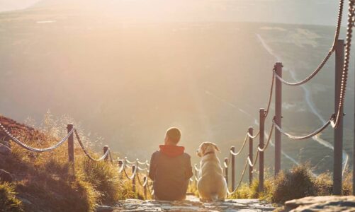 donde viajar con perros en españa