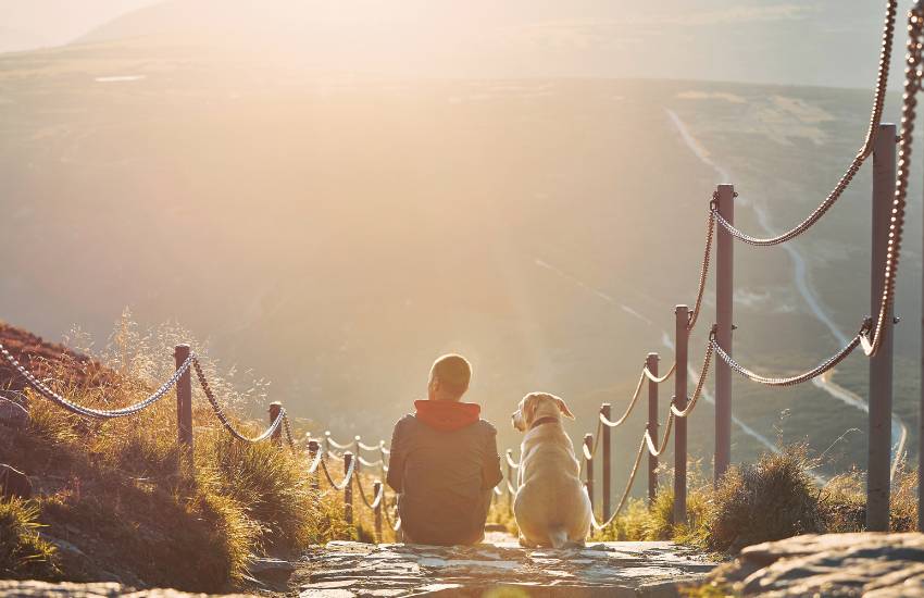 donde viajar con perros en españa