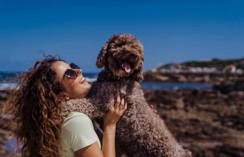 perro de agua hipoalergénico