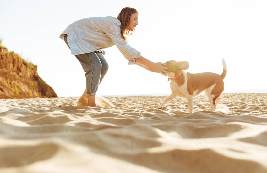 playas donde viajar con perros en españa