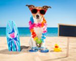10 playas donde viajar con perros en España